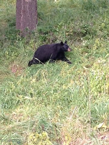 189 Quinn Creek Road, Bozeman, MT 59715