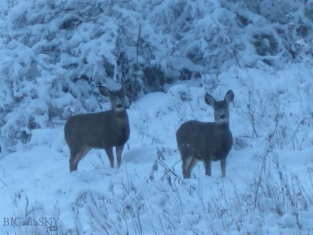 189 Quinn Creek Road, Bozeman, MT 59715