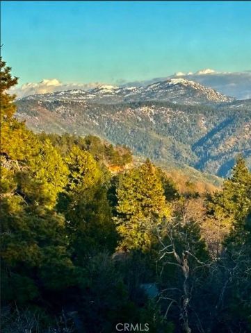 1226 Bridal Path, Rimforest, CA 92378