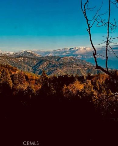 1226 Bridal Path, Rimforest, CA 92378