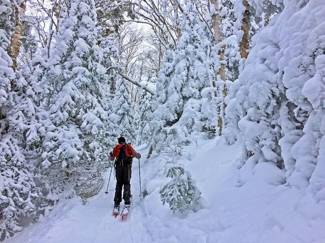 65-2 Clearbrook Road, Lincoln, NH 03251