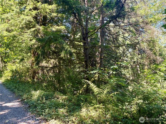 0 E Lake Walker Drive SE, Enumclaw, WA 98022