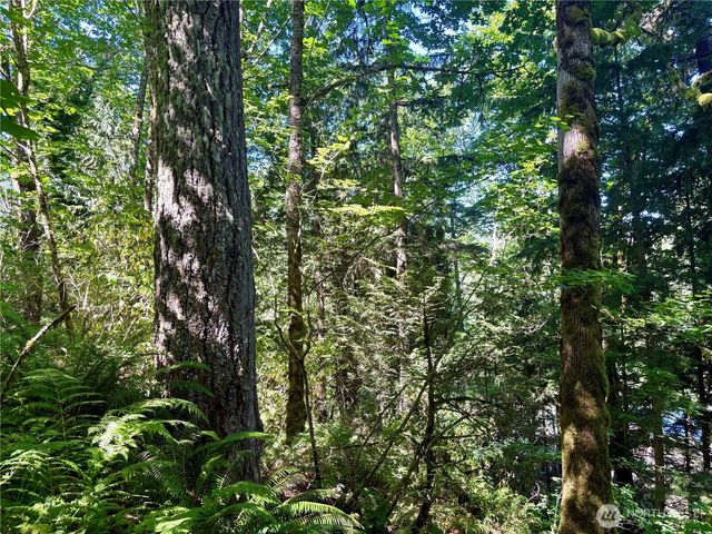 0 E Lake Walker Drive SE, Enumclaw, WA 98022