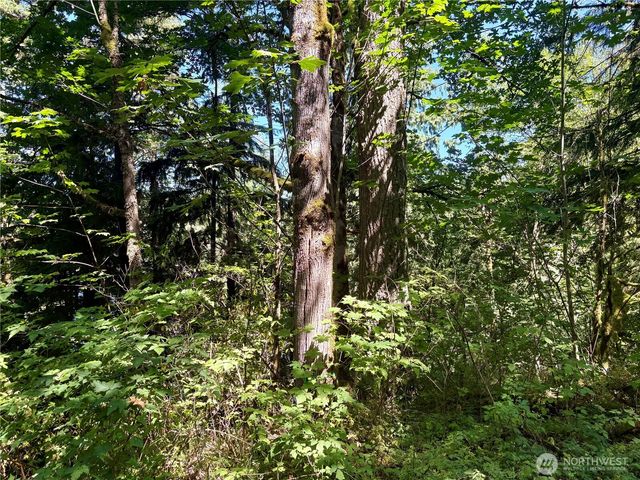 0 E Lake Walker Drive SE, Enumclaw, WA 98022