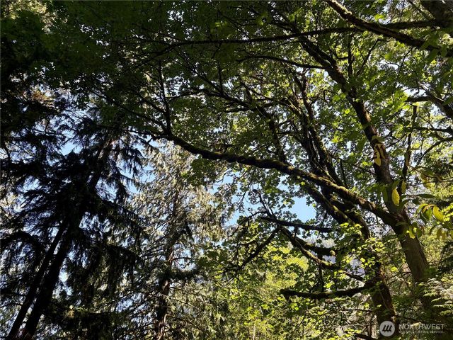 0 E Lake Walker Drive SE, Enumclaw, WA 98022