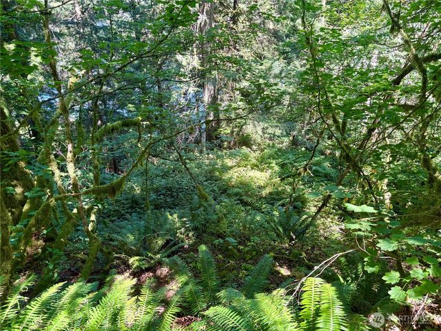 0 E Lake Walker Drive SE, Enumclaw, WA 98022