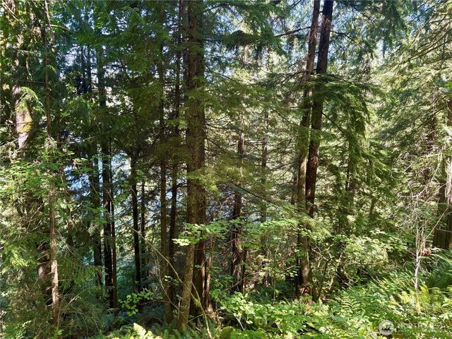 0 E Lake Walker Drive SE, Enumclaw, WA 98022