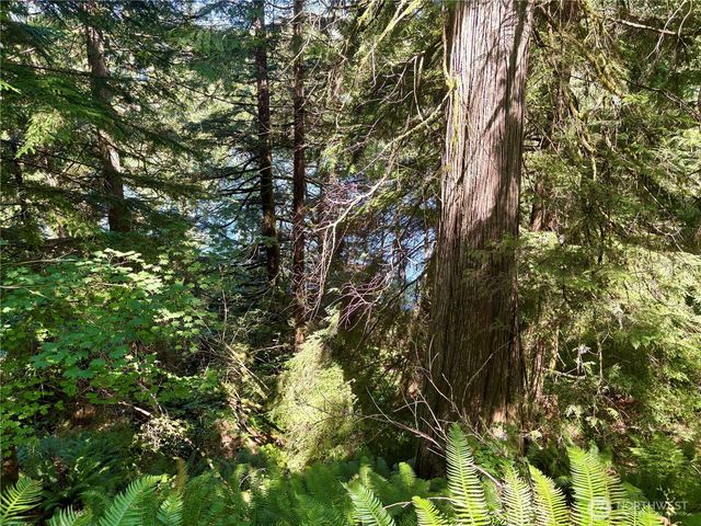 0 E Lake Walker Drive SE, Enumclaw, WA 98022