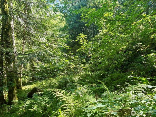0 E Lake Walker Drive SE, Enumclaw, WA 98022