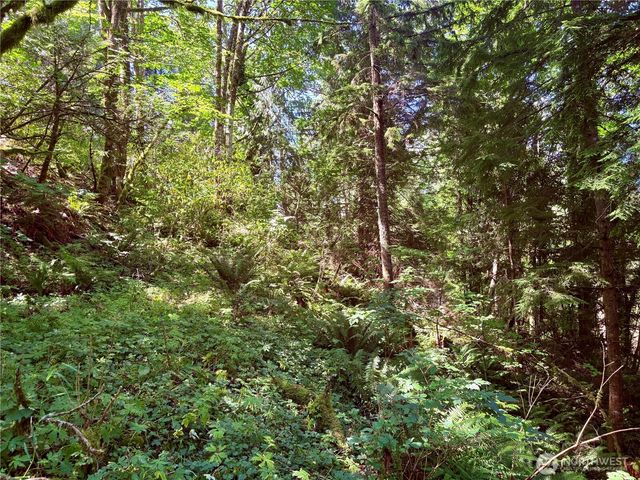 0 E Lake Walker Drive SE, Enumclaw, WA 98022