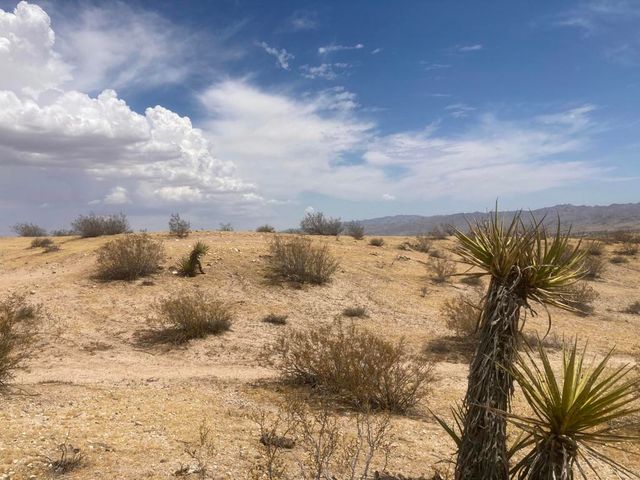 0 Sunnyhill Rd, Joshua Tree, CA 92252