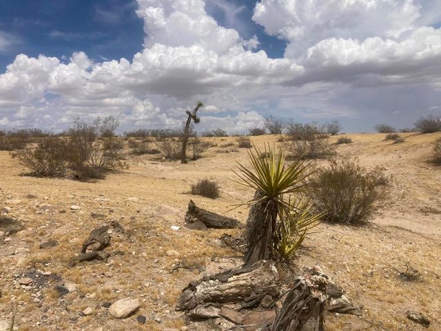 0 Sunnyhill Rd, Joshua Tree, CA 92252
