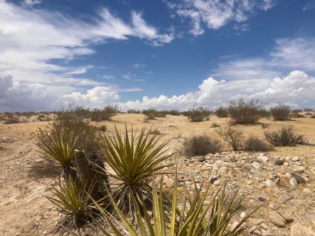 0 Sunnyhill Rd, Joshua Tree, CA 92252