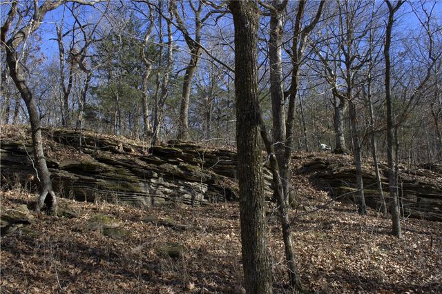 15337 Stagecoach Road, Prairie Grove, AR 72753