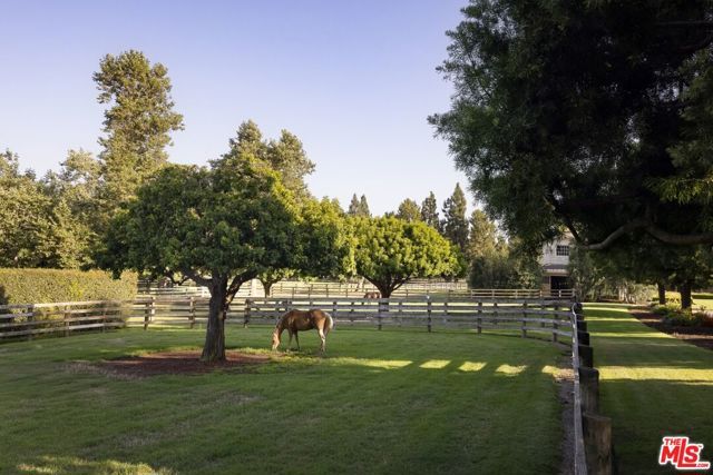 16401 Calle Feliz, Rancho Santa Fe, CA 92067