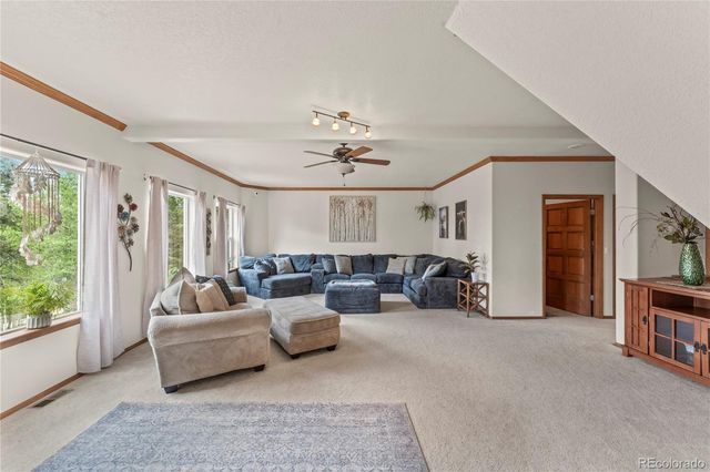 510 Banner Trail, Florissant, CO 80816