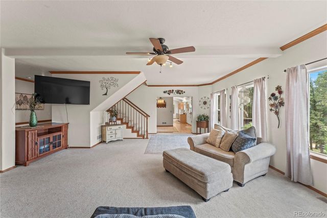 510 Banner Trail, Florissant, CO 80816