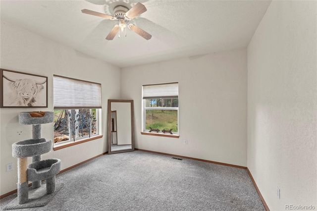 510 Banner Trail, Florissant, CO 80816