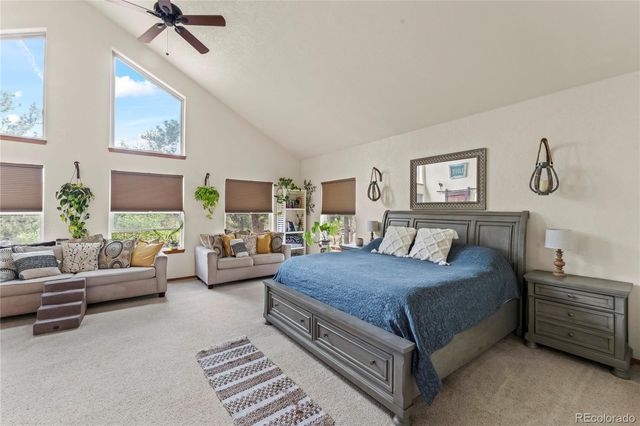 510 Banner Trail, Florissant, CO 80816