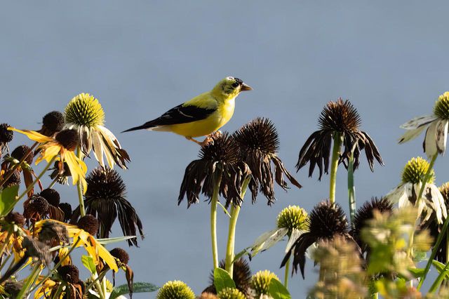 N81W14117 Titan COURT, Menomonee Falls, WI 53051