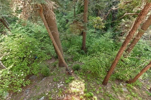 576 Kuffel Canyon, Lake Arrowhead, CA 92352