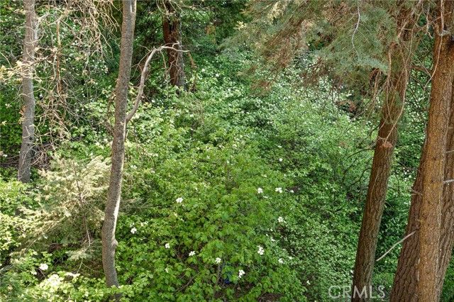 576 Kuffel Canyon, Lake Arrowhead, CA 92352