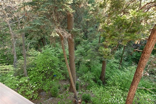 576 Kuffel Canyon, Lake Arrowhead, CA 92352