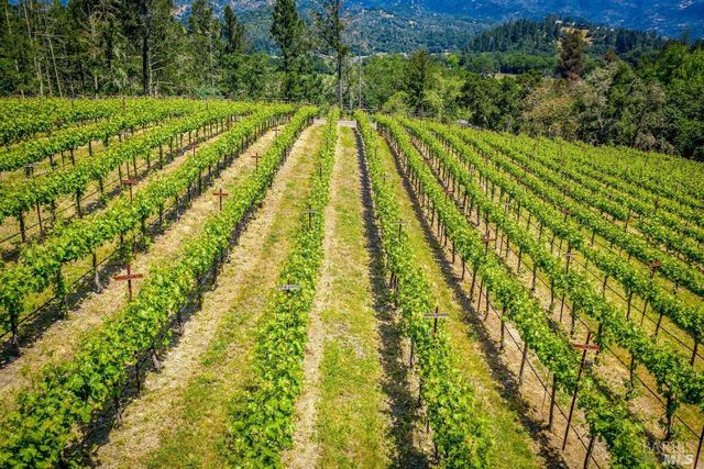 4447 N St. Helena Hwy, Calistoga, CA 94515