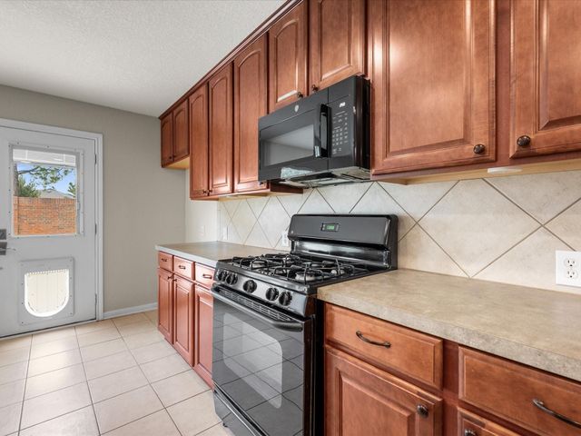 20118 Monarda Manor Court, Spring, TX 77379