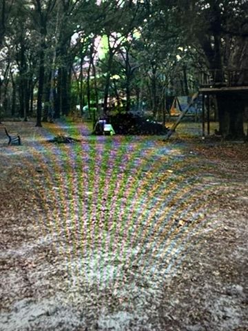 10424 SW 151ST PLACE, Dunnellon, FL 34432