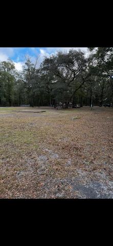 10424 SW 151ST PLACE, Dunnellon, FL 34432