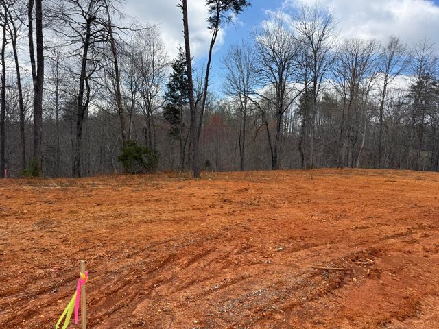 Lot 2 Phase 2 Stearns Hollow Road, Monticello, KY 42633