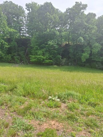 Lot 67 Hillside, Morganton, GA 30560