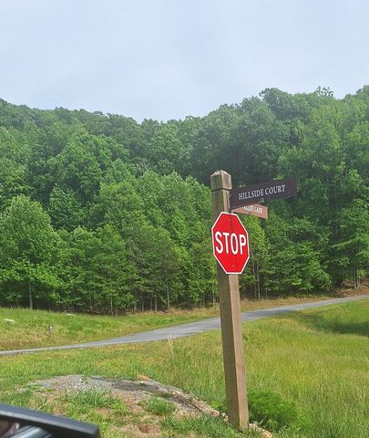 Lot 67 Hillside, Morganton, GA 30560