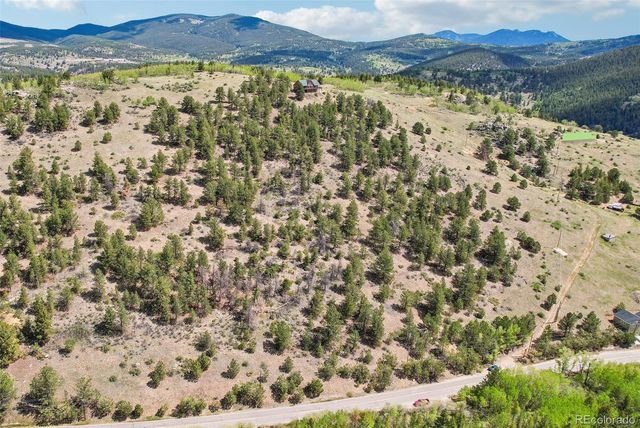 591 Eureka Street, Central City, CO 80427
