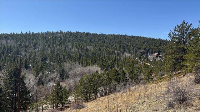 591 Eureka Street, Central City, CO 80427