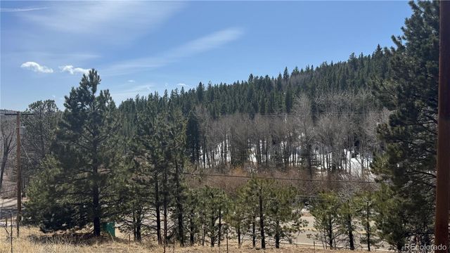 591 Eureka Street, Central City, CO 80427