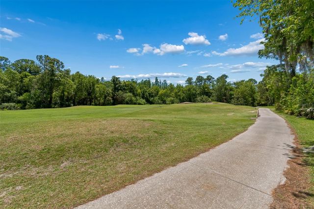 10423 GREENHEDGES DRIVE, Tampa, FL 33626