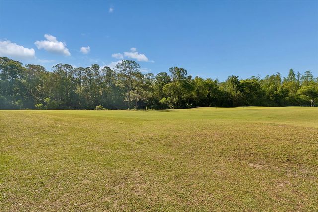 10423 GREENHEDGES DRIVE, Tampa, FL 33626