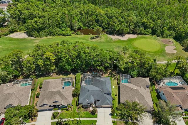 10423 GREENHEDGES DRIVE, Tampa, FL 33626