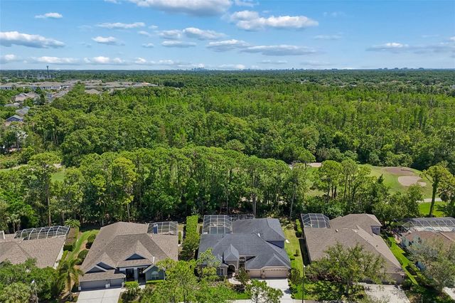 10423 GREENHEDGES DRIVE, Tampa, FL 33626