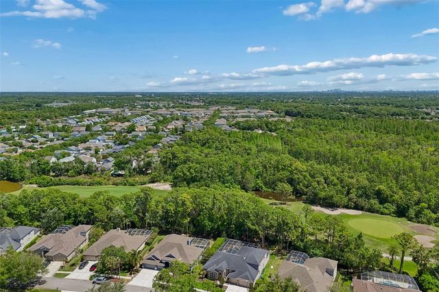 10423 GREENHEDGES DRIVE, Tampa, FL 33626