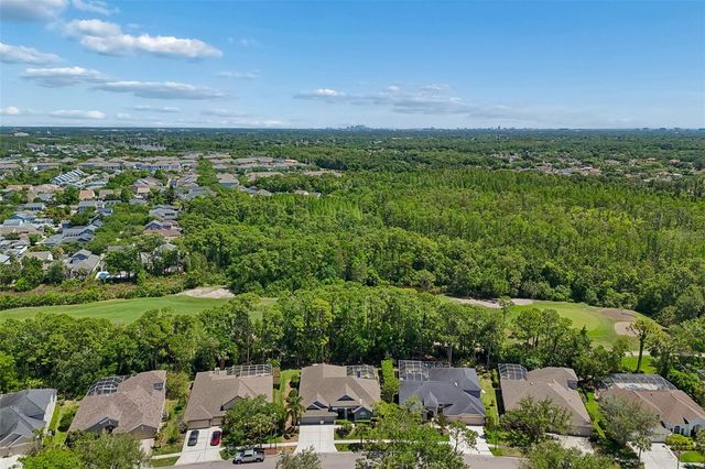 10423 GREENHEDGES DRIVE, Tampa, FL 33626