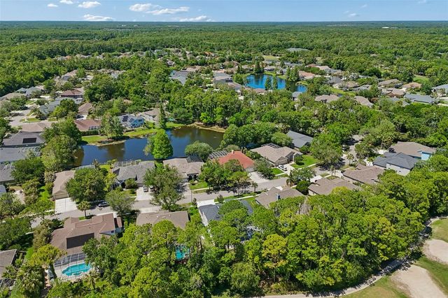 10423 GREENHEDGES DRIVE, Tampa, FL 33626