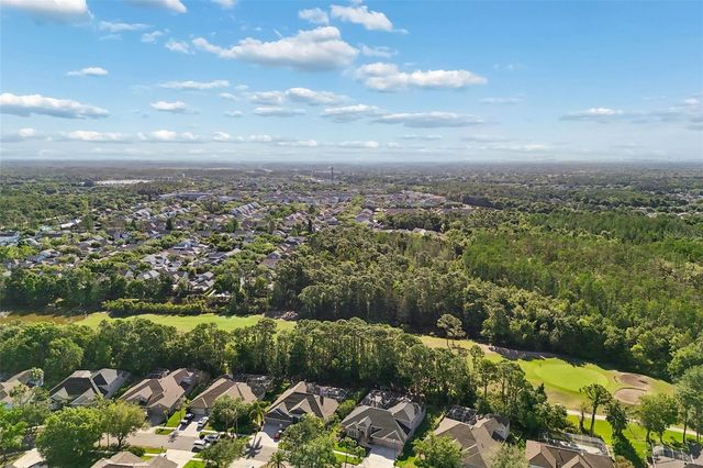 10423 GREENHEDGES DRIVE, Tampa, FL 33626