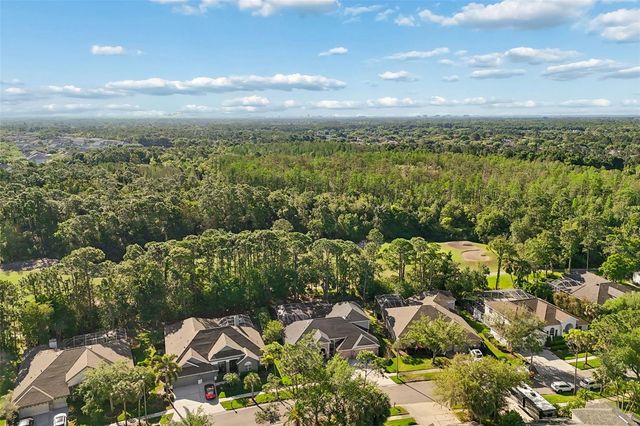 10423 GREENHEDGES DRIVE, Tampa, FL 33626