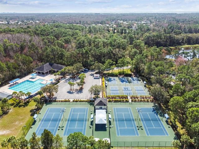 10423 GREENHEDGES DRIVE, Tampa, FL 33626