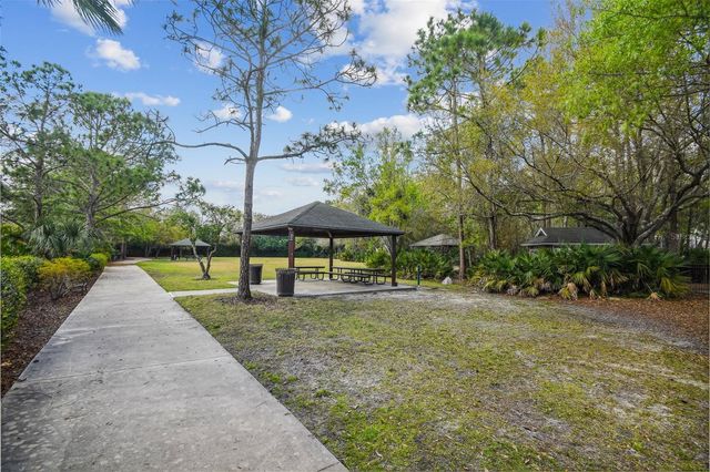 10423 GREENHEDGES DRIVE, Tampa, FL 33626