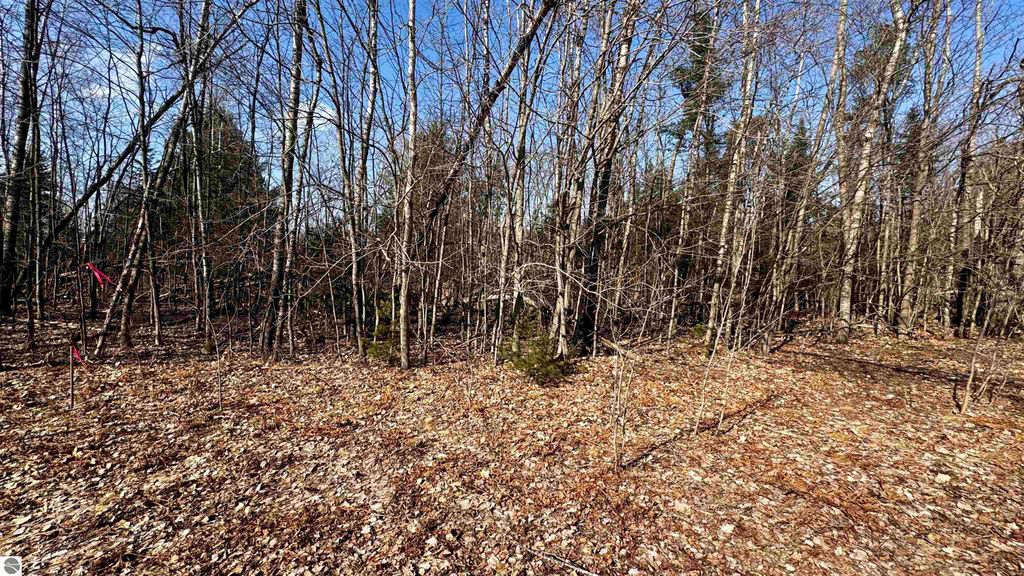 Image 10 of property listing at Lot 28 White Pine Drive, Cadillac, MI 49601