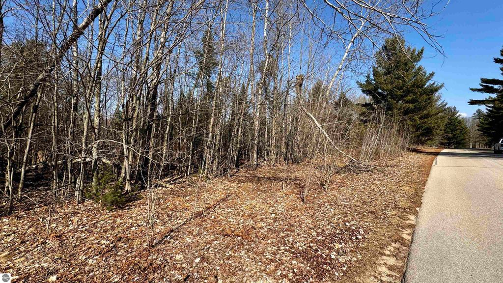 Image 11 of property listing at Lot 28 White Pine Drive, Cadillac, MI 49601